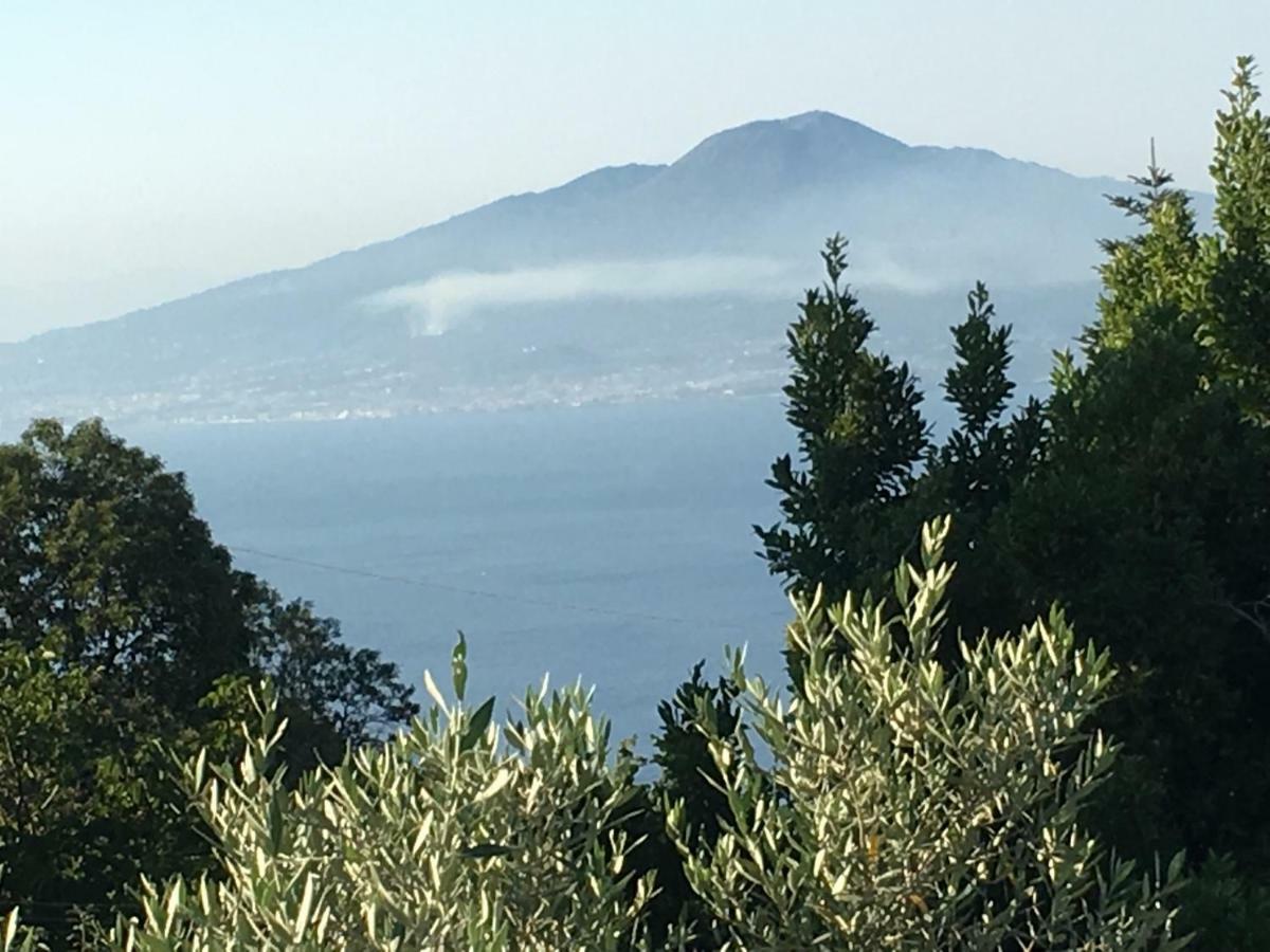 Villa Annabelle Sant'Agata sui due Golfi Eksteriør billede